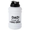 Hallmark Dad: Kind Of A Big Deal Water Jug, 80 Oz. -Hallmark Dad Giant Water Jug 1SNN1103 01