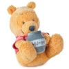Hallmark Disney Baby Winnie The Pooh Wobble And Chime Stuffed Animal -Hallmark Disney Baby Winnie the Pooh Wobble and Chime Plush 1BBY4805 01