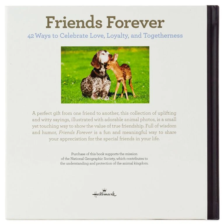 Hallmark Friends Forever: 42 Ways To Celebrate Love, Loyalty And Togetherness Book 6 Hallmark Friends Forever: 42 Ways To Celebrate Love, Loyalty And Togetherness Book - Image 4