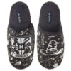 Hallmark Harry Potter™ Sorting Hat™ Slippers With Sound, Small/Medium -Hallmark Harry Potter Sorting Hat Slippers With Sound 1HPO1099 01