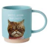 Hallmark Judgmental Cat Funny Mug, 16 Oz. -Hallmark Shoebox Judgmental Cat Funny Coffee Mug 1MUG3533 01